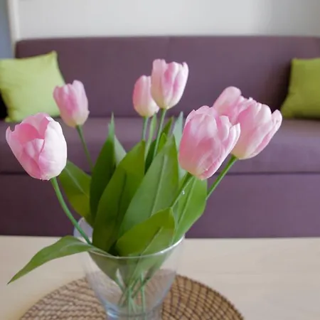 Apartment Edenea